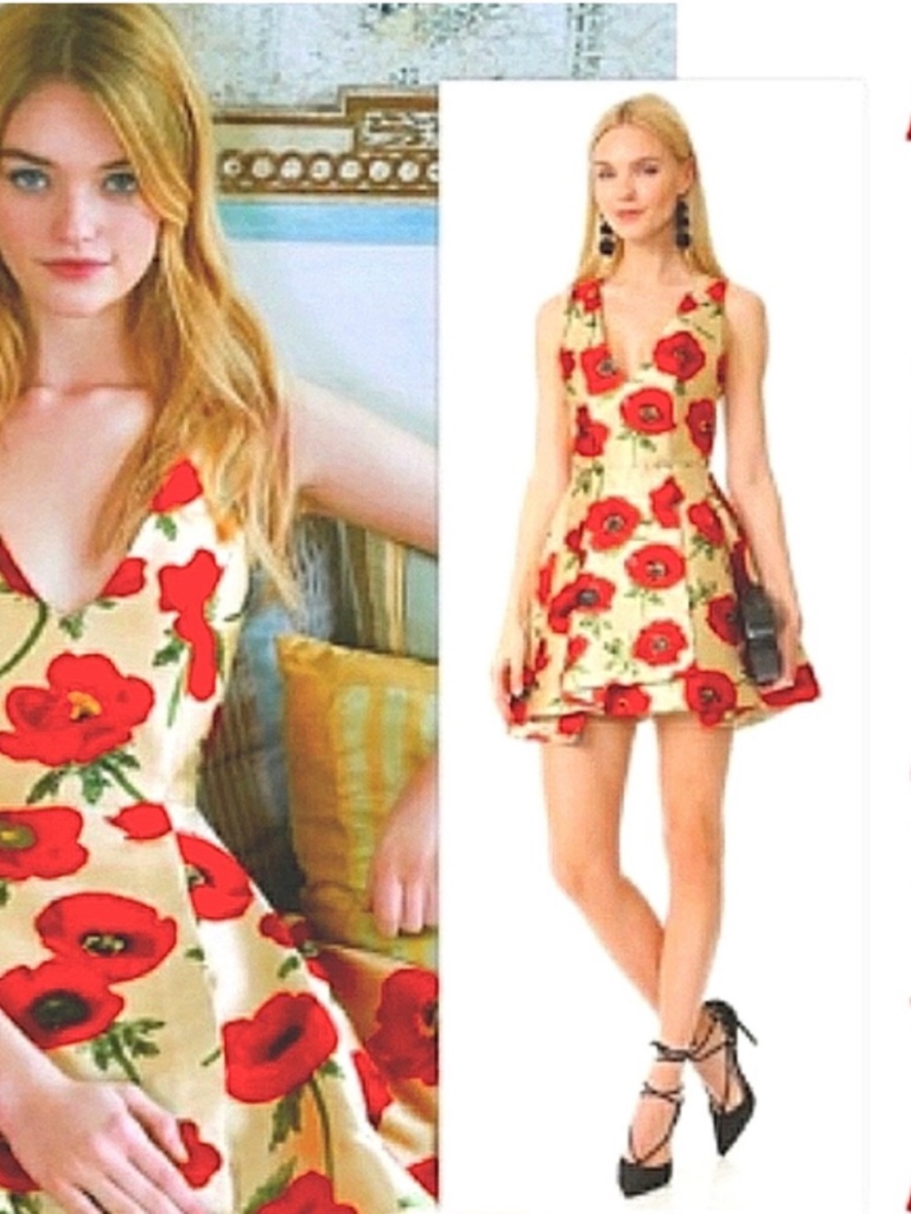 Alice + Olivia Mini Dress with Red Floral Print - Picture 6 of 6